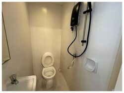 8 @ Mount Sophia (D9), Condominium #561249461